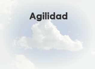 Agilidad